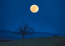 Image result for Moon Night Photography