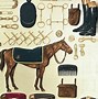 Image result for Horse Tack Jokes