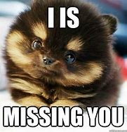 Image result for Hilarious Miss You