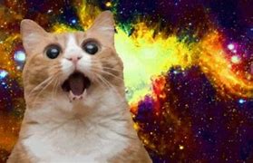 Image result for Naruto Cat Meme