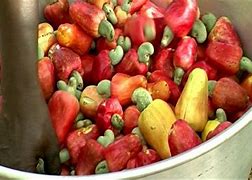 Image result for Cashew Apple Juice