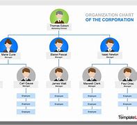 Image result for Organizational Chart Sample