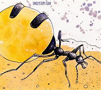 Image result for Honey Pot Ant Drawing