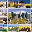 Image result for Los Angeles California Postcard