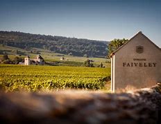 Image result for Faiveley Beaujolais Villages