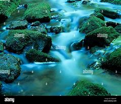Image result for Moss-Covered Rocks On Shore