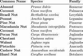 Image result for Common Tree Nuts