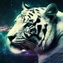Image result for Bad Ass Cool Tiger