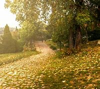 Image result for iPhone 5 Cena Beograd