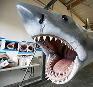 Image result for Mechanical Shark