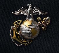Image result for Marine Corps Eagle Globe Anchor