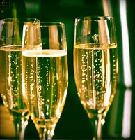 Image result for Most Popular Champagne