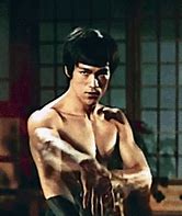 Image result for Top 10 Martial Artists