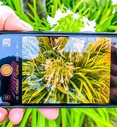 Image result for iPhone 6s 2 Camera