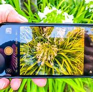 Image result for What Budget Phone Has the Best Camera