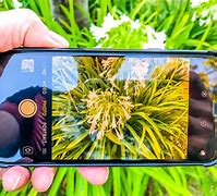 Image result for iPhone 100 Camera