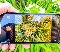 Image result for Best iPhone X Series Camera