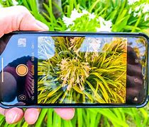 Image result for iPhones With1 Camera