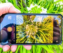 Image result for Phones with Great Camera Quality