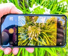 Image result for iPhone 8 Pro See Thru Camera