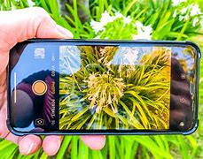 Image result for iPhone 6s Plus Camera Samples
