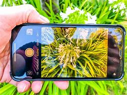 Image result for What Is a 12MP Image