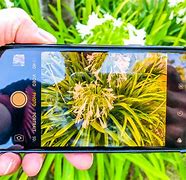 Image result for iPhone SE2 Camera