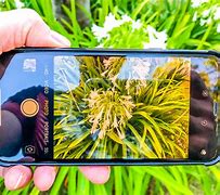 Image result for Ipone with 43 Cameras