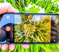 Image result for iOS 14 Camera