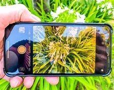 Image result for iPhone Camera Difference by Model