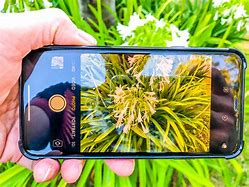 Image result for Real Me 5 Pro vs iPhone 7 Plus Camera