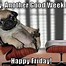 Image result for Is It Friday yet Meme Funny