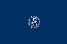 Image result for Canadian Football League