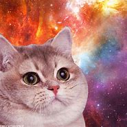 Image result for Flying Space Cat