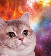 Image result for Galaxy Kitty