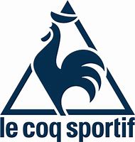 Image result for La Coque Sportif Headbands
