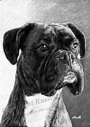 Image result for Boxer Dog Pop Art