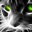Image result for Cat Print Wallpaper Neon