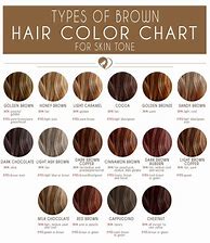 Image result for Chestnut Hair Color Chart