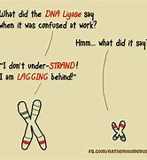 Image result for Funny DNA Jokes