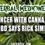Image result for Plants That Cure Cancer