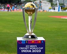 Image result for Cricket World Cup Explained