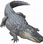 Image result for Alligator Clips Clip Art