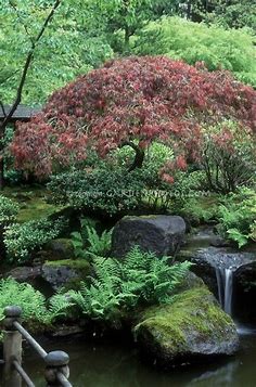 #japanesegardendesign | Small japanese garden, Japanese garden, Japanese zen garden
