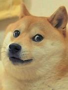 Image result for Doge Meme Template