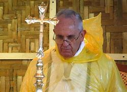 Image result for Pope Francis Marriage