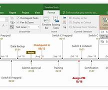 Image result for Microsoft Project Timeline View