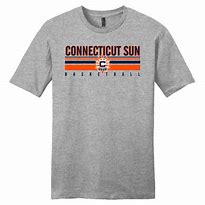 Image result for Connecticut Sun Tee Shirt