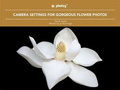 Image result for iPhone 14 Camera Flower Image