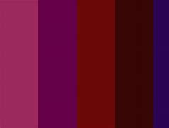 Image result for burgundy colors palettes